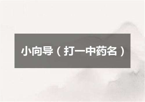 小向导（打一中药名）