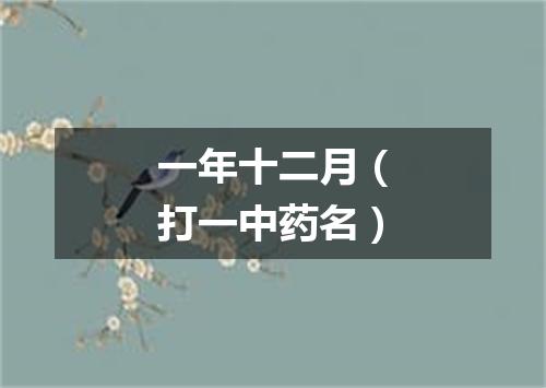 一年十二月（打一中药名）
