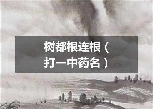 树都根连根（打一中药名）