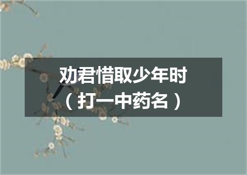 劝君惜取少年时（打一中药名）