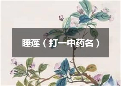 睡莲（打一中药名）