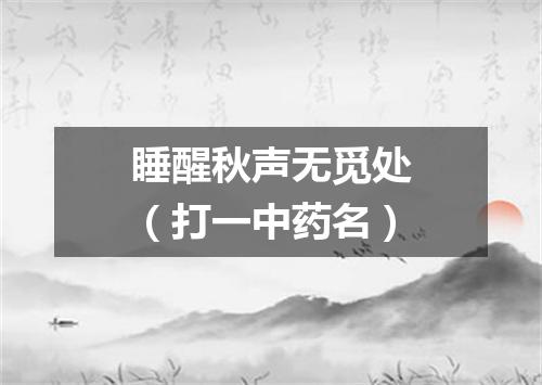 睡醒秋声无觅处（打一中药名）