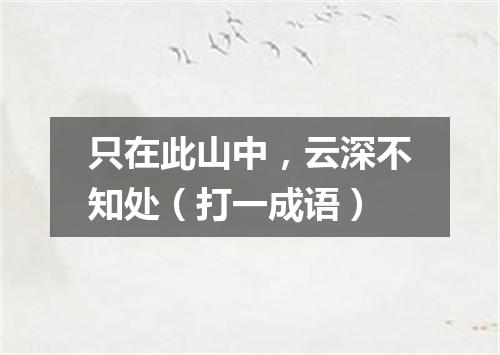 只在此山中，云深不知处（打一成语）