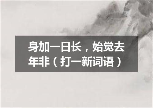 身加一日长，始觉去年非（打一新词语）