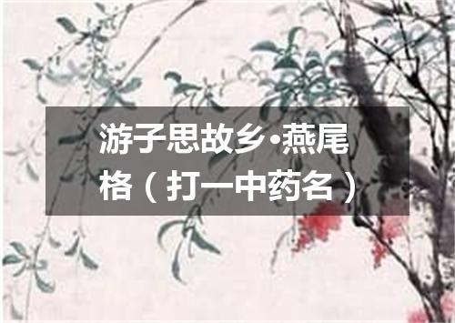 游子思故乡·燕尾格（打一中药名）