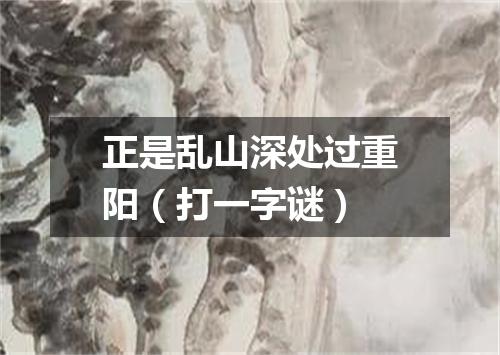 正是乱山深处过重阳（打一字谜）