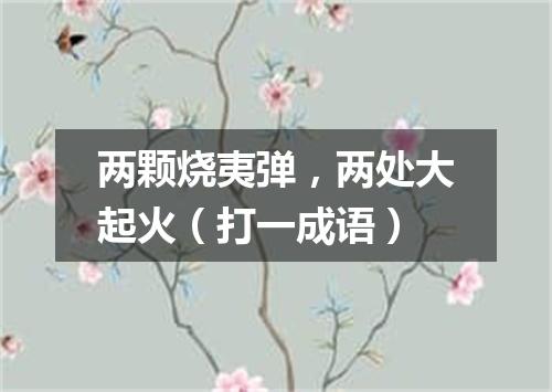 两颗烧夷弹，两处大起火（打一成语）
