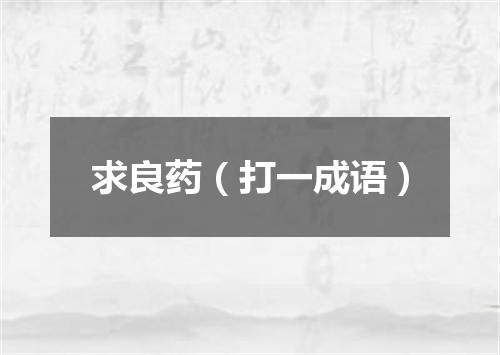 求良药（打一成语）