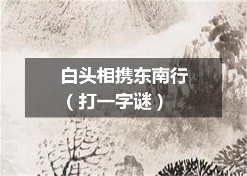 白头相携东南行（打一字谜）
