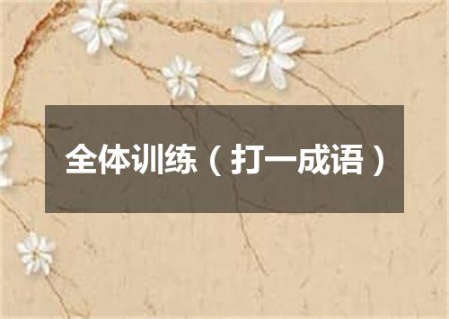 全体训练（打一成语）