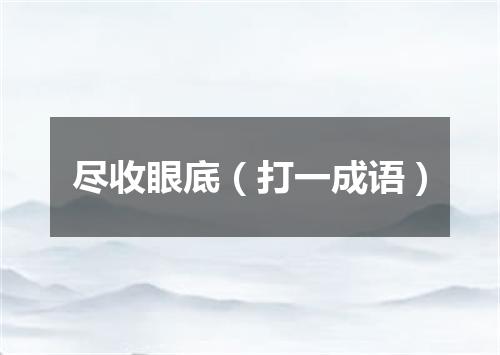 尽收眼底（打一成语）