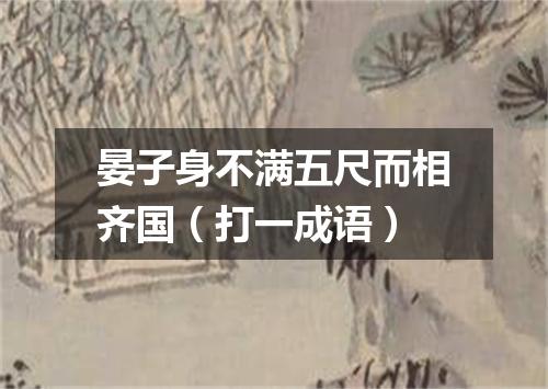 晏子身不满五尺而相齐国（打一成语）