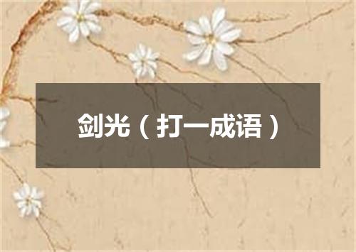 剑光（打一成语）