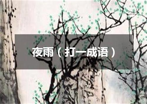 夜雨（打一成语）