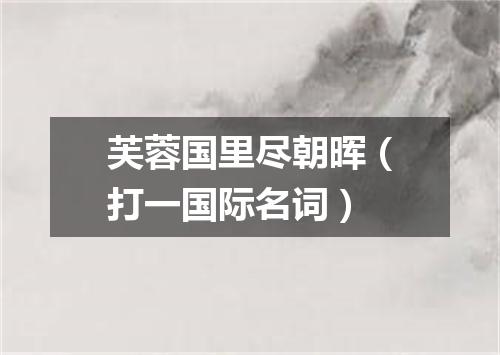 芙蓉国里尽朝晖（打一国际名词）