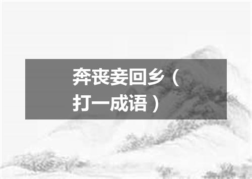 奔丧妾回乡（打一成语）