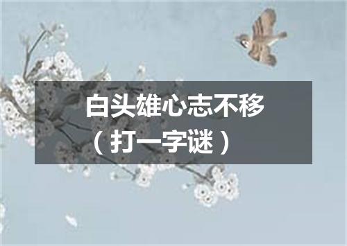 白头雄心志不移（打一字谜）