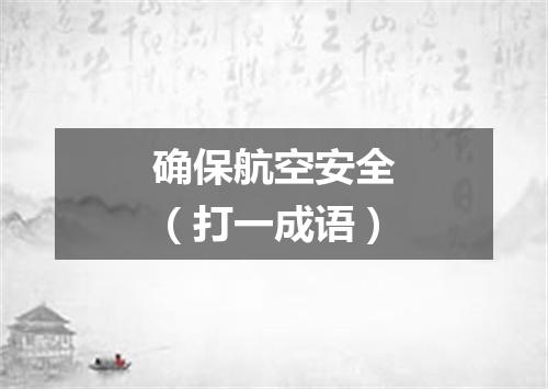 确保航空安全（打一成语）