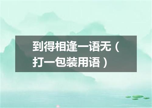 到得相逢一语无（打一包装用语）