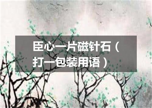 臣心一片磁针石（打一包装用语）