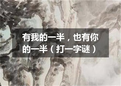 有我的一半，也有你的一半（打一字谜）