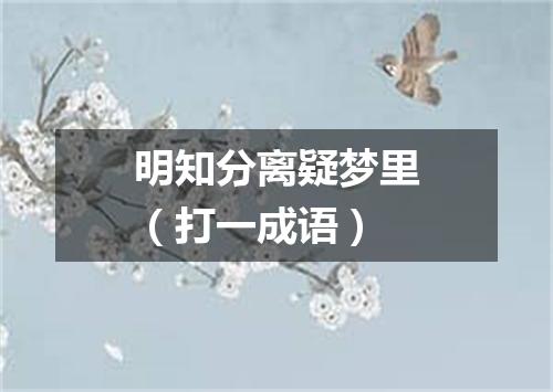 明知分离疑梦里（打一成语）