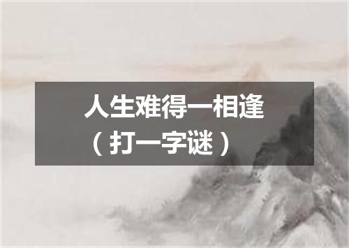 人生难得一相逢（打一字谜）