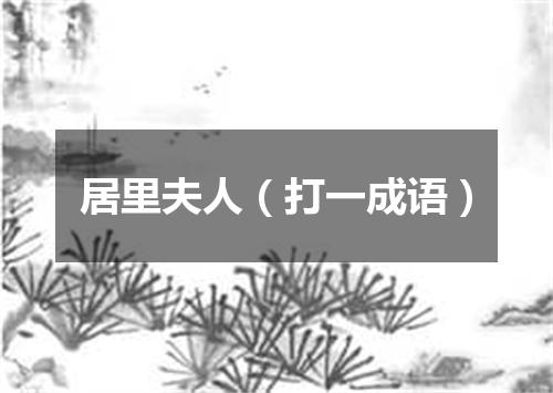 居里夫人（打一成语）