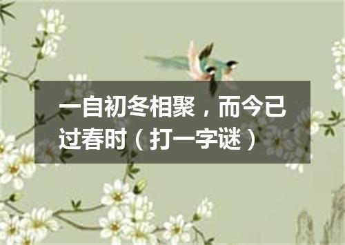 一自初冬相聚，而今已过春时（打一字谜）