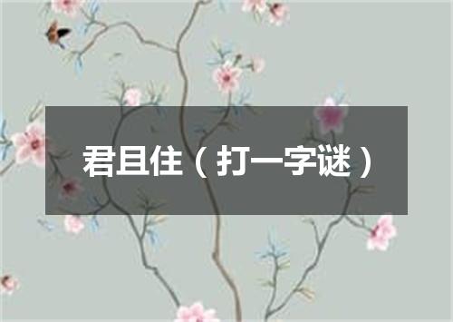 君且住（打一字谜）