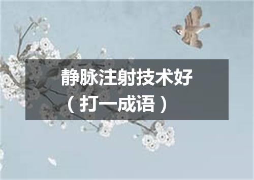 静脉注射技术好（打一成语）
