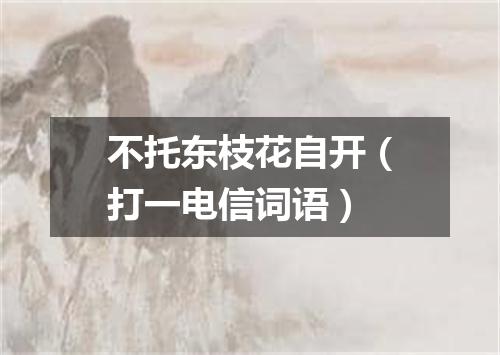 不托东枝花自开（打一电信词语）