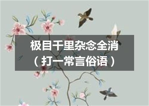 极目千里杂念全消（打一常言俗语）