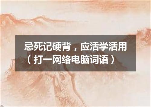 忌死记硬背，应活学活用（打一网络电脑词语）