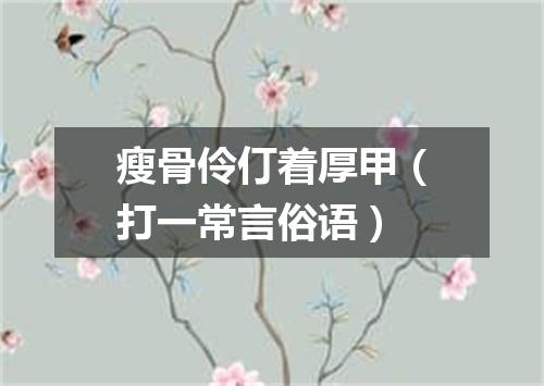 瘦骨伶仃着厚甲（打一常言俗语）