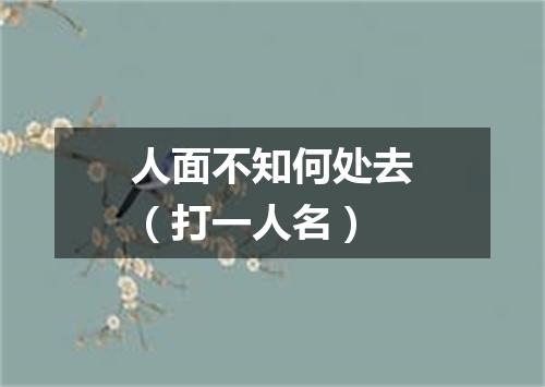 人面不知何处去（打一人名）