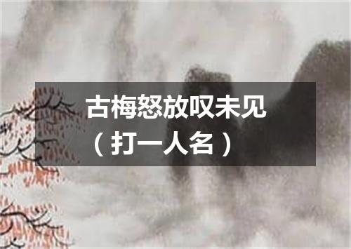 古梅怒放叹未见（打一人名）