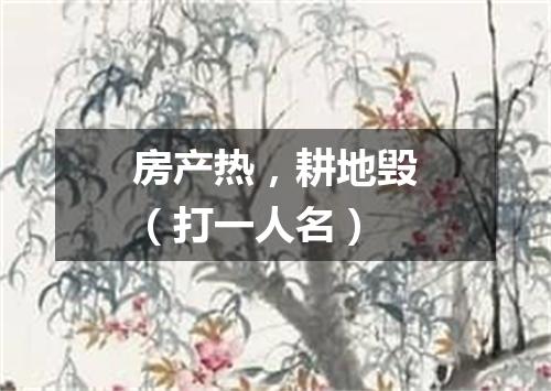 房产热，耕地毁（打一人名）