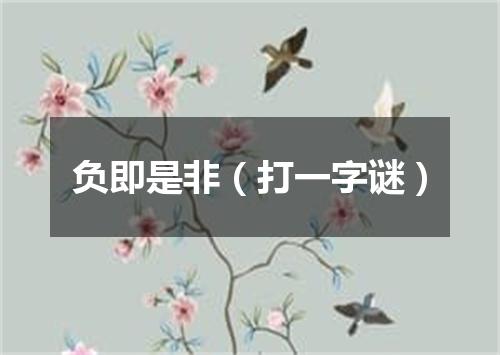 负即是非（打一字谜）