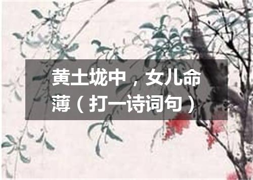黄土垅中，女儿命薄（打一诗词句）