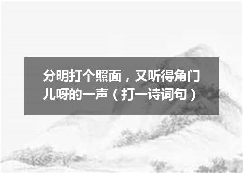 分明打个照面，又听得角门儿呀的一声（打一诗词句）