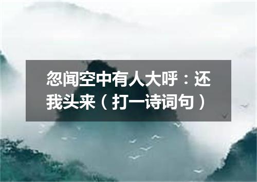 忽闻空中有人大呼：还我头来（打一诗词句）