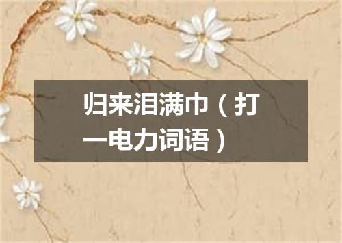 归来泪满巾（打一电力词语）