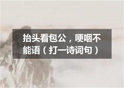 抬头看包公，哽咽不能语（打一诗词句）