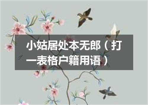 小姑居处本无郎（打一表格户籍用语）