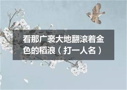 看那广袤大地翻滚着金色的稻浪（打一人名）