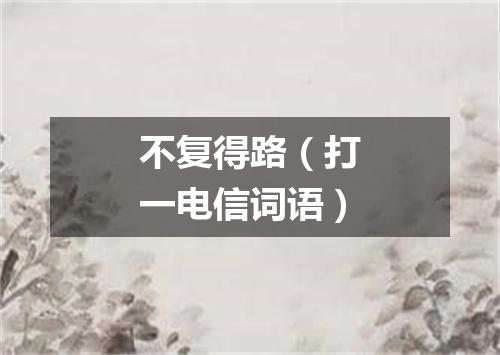 不复得路（打一电信词语）
