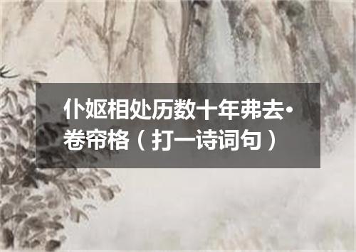 仆妪相处历数十年弗去·卷帘格（打一诗词句）