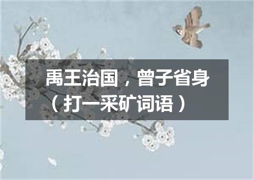 禹王治国，曾子省身（打一采矿词语）