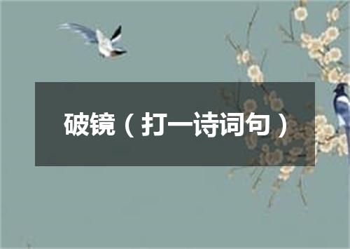 破镜（打一诗词句）
